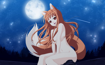 Картинка аниме spice and wolf