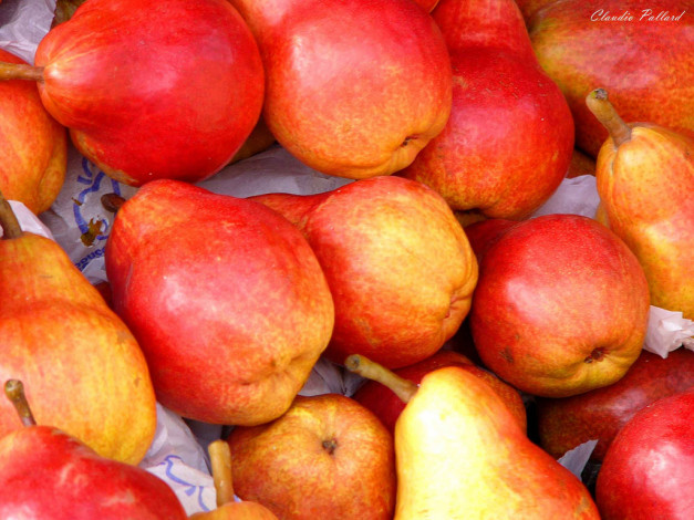 Обои картинки фото еда, груши