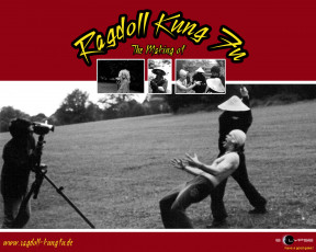 обоя видео, игры, rag, doll