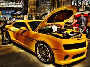 Картинка автомобили выставки уличные фото