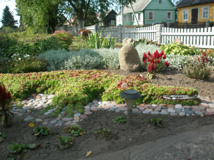 Картинка цветы разные вместе