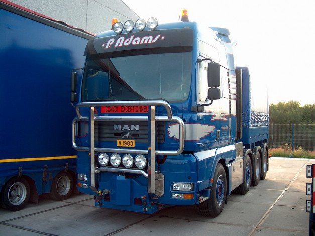 Обои картинки фото автомобили, man