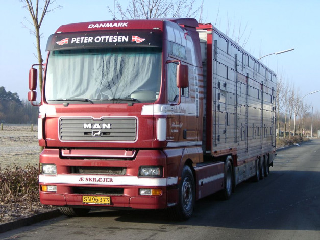 Обои картинки фото автомобили, man