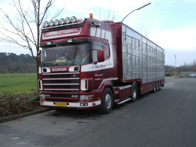 Обои картинки фото автомобили, scania