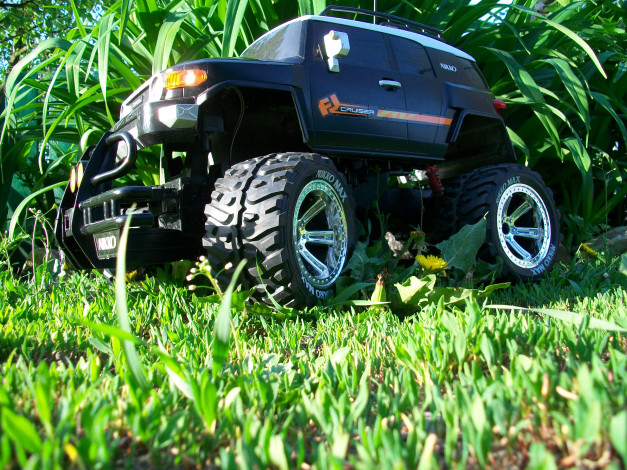 Обои картинки фото автор, тараненко, разное, игрушки