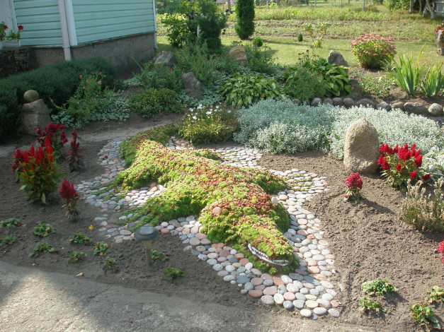 Обои картинки фото цветы, разные, вместе