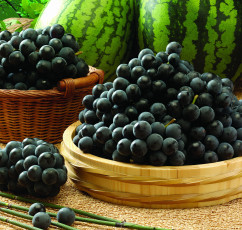 Картинка еда фрукты ягоды виноград арбузы