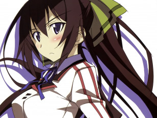 Картинка аниме infinite stratos