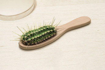 Картинка юмор приколы d