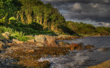 Картинка природа побережье озеро лес