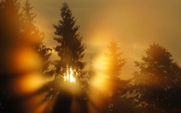 Картинка природа восходы закаты закат свет вечер