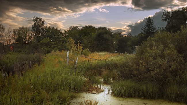 Обои картинки фото природа, лес, забор, лето, болото