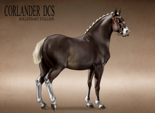 Картинка рисованные животные лошади лошадь