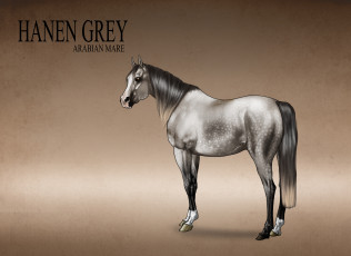 Картинка рисованные животные лошади лошадь