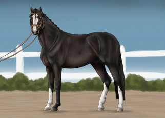 Картинка рисованные животные лошади лошадь