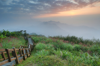 Картинка природа горы трава пост дорожка дымка