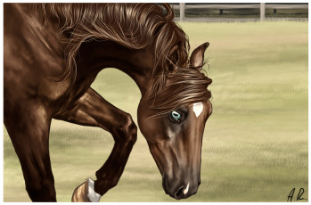 Картинка рисованные животные лошади лошадь