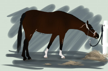 Картинка рисованные животные лошади лошадь