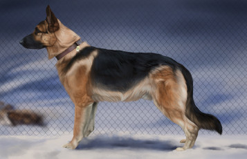 Картинка рисованные животные собаки собака