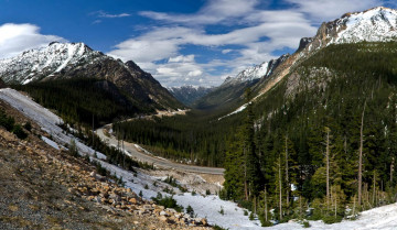 Картинка north cascades national park сша природа горы ели