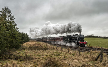Картинка техника паровозы паровоз вагоны дым пле рельсы