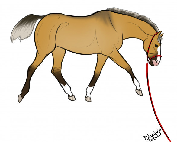 Обои картинки фото рисованные, животные, лошади, лошадь