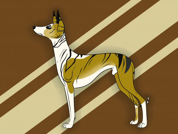 Обои картинки фото рисованные, животные, собаки, собака