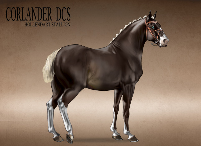 Обои картинки фото рисованные, животные, лошади, лошадь