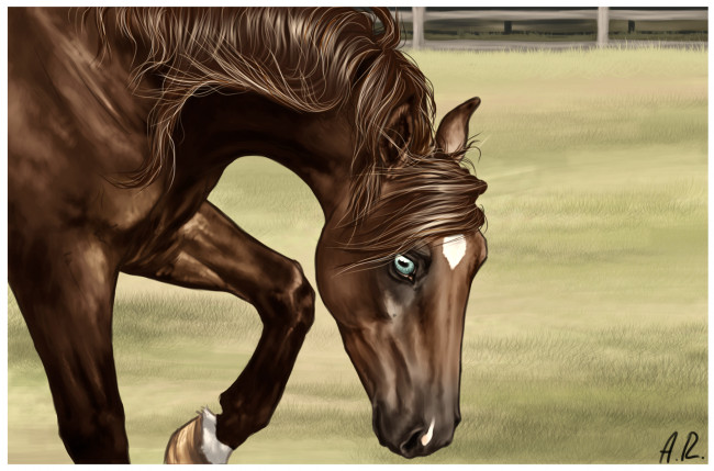 Обои картинки фото рисованные, животные, лошади, лошадь