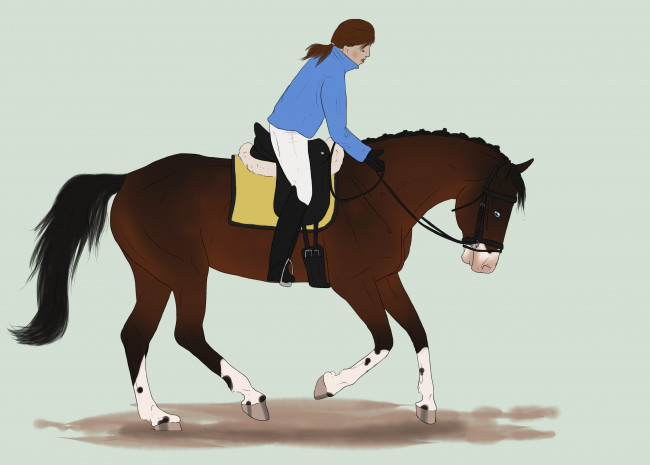 Обои картинки фото рисованные, животные, лошади, лошадь