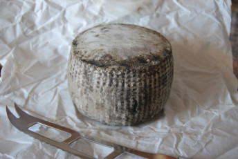 Картинка bauma+madurat+cabra еда сырные+изделия сыр