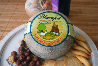 Картинка blancafort+garrotxa еда сырные+изделия сыр