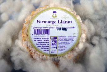 Картинка llanut еда сырные+изделия сыр