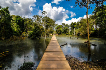 Картинка природа реки озера река лес