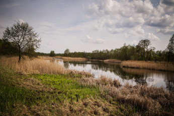 Картинка природа реки озера лес река