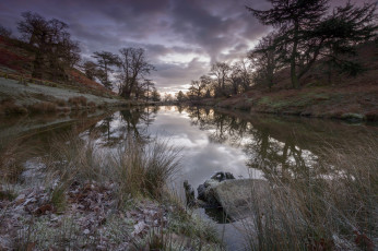 Картинка природа реки озера река лес