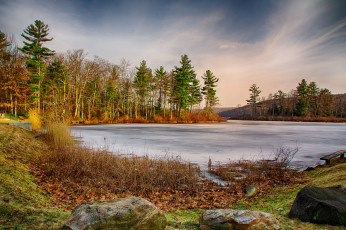 Картинка природа реки озера река лес