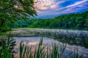 Картинка природа реки озера река лес