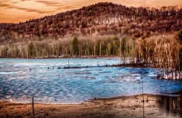 Картинка природа реки озера река лес