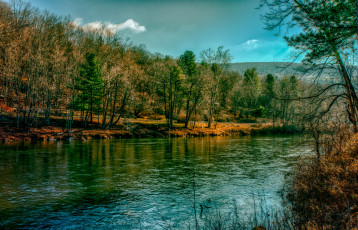 Картинка природа реки озера река лес