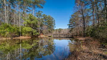 Картинка природа реки озера река лес