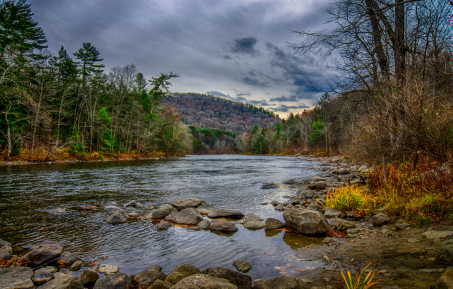 Обои картинки фото природа, реки, озера, река, лес