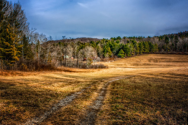 Обои картинки фото природа, дороги, река, лес