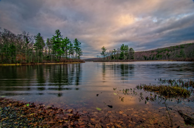 Обои картинки фото природа, реки, озера, лес, река