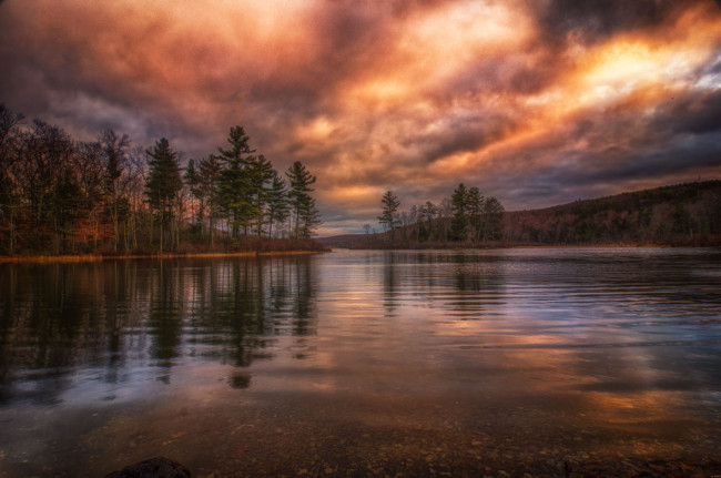 Обои картинки фото природа, реки, озера, река, лес