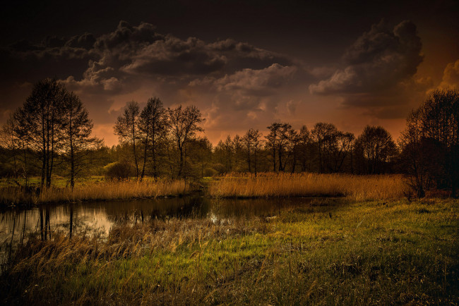 Обои картинки фото природа, реки, озера, река, лес