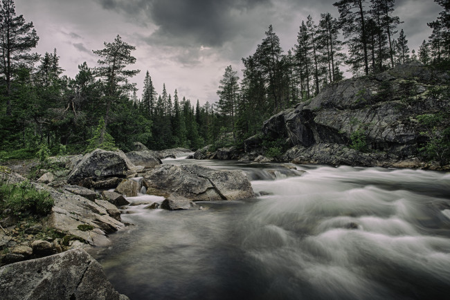 Обои картинки фото природа, реки, озера, река, лес