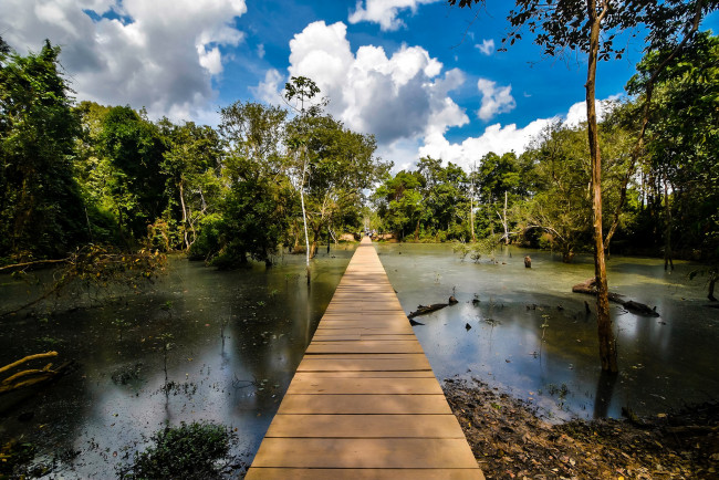 Обои картинки фото природа, реки, озера, река, лес