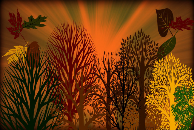 Обои картинки фото векторная графика, природа , nature, узор, фон, цвета