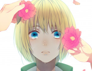 Картинка аниме shingeki+no+kyojin армин